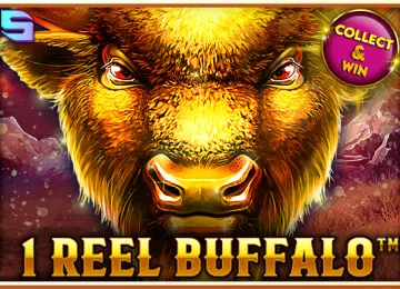 1 Reel Buffalo
